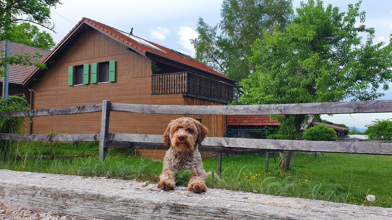 Guesthouse La Moliere, 3 Bedrooms, Private House, Horse Farm, Full Nature Murist Экстерьер фото