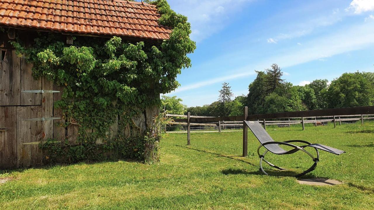 Guesthouse La Moliere, 3 Bedrooms, Private House, Horse Farm, Full Nature Murist Экстерьер фото